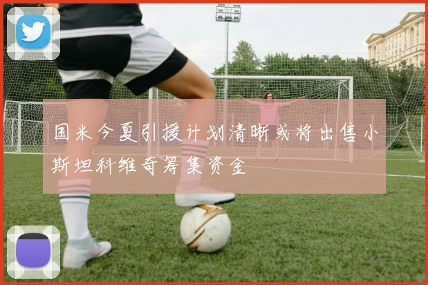 国米今夏引援计划清晰或将出售小斯坦科维奇筹集资金