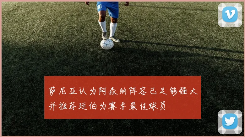 萨尼亚认为阿森纳阵容已足够强大并推荐廷伯为赛季最佳球员